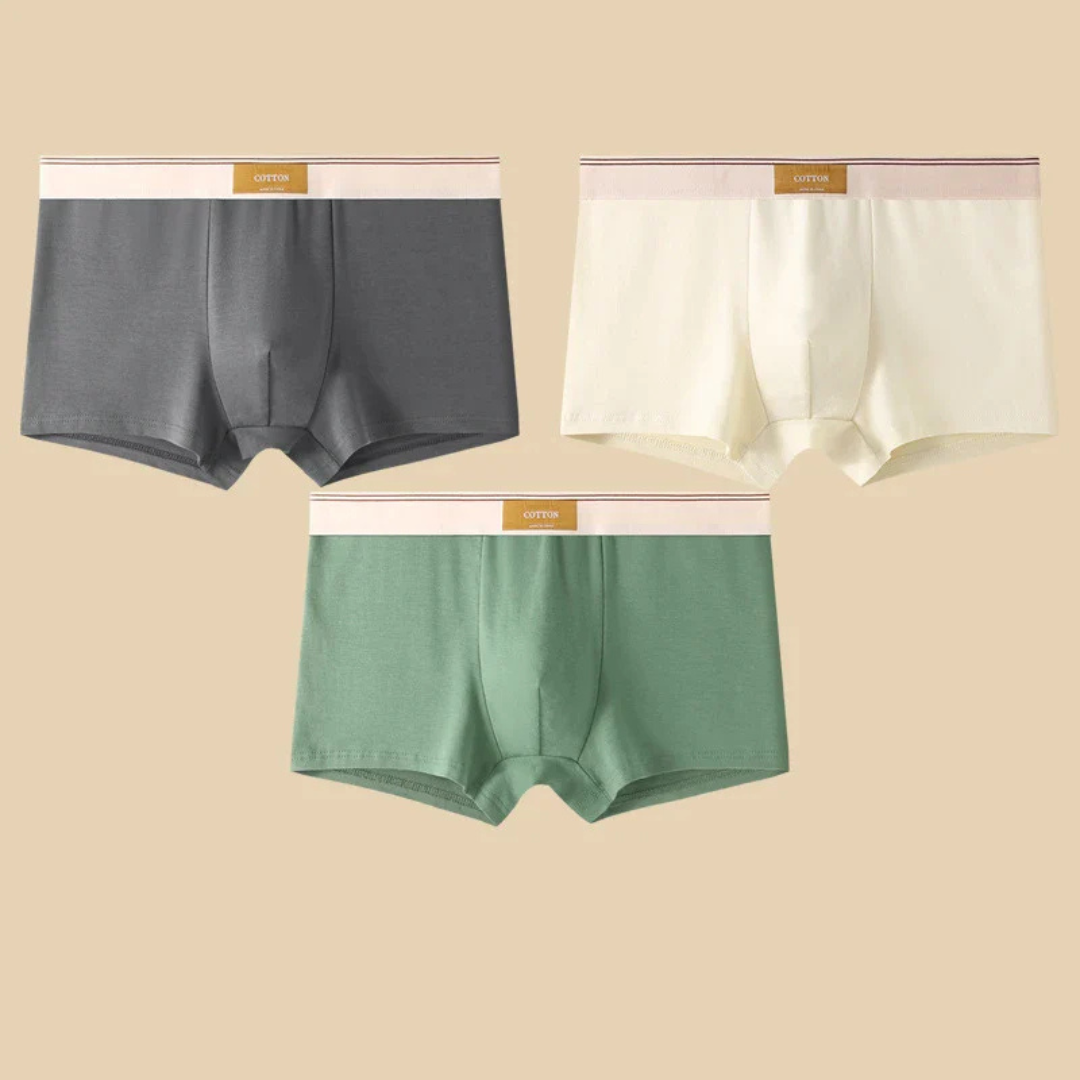 Men's Boxer Briefs Set with Elastic Waistband and Contrast Trim