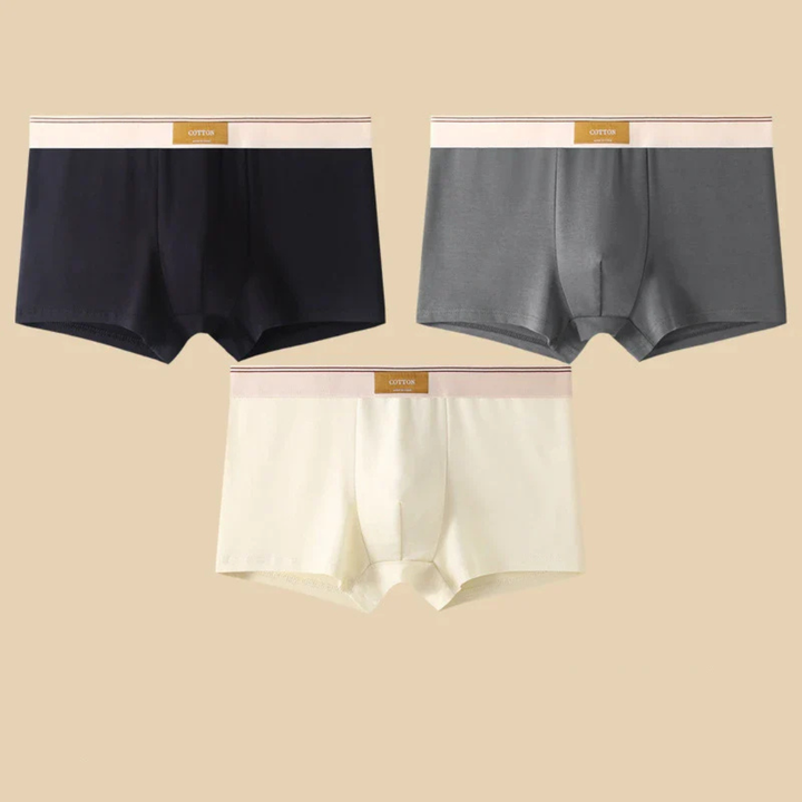Men's Boxer Briefs Set with Elastic Waistband and Contrast Trim