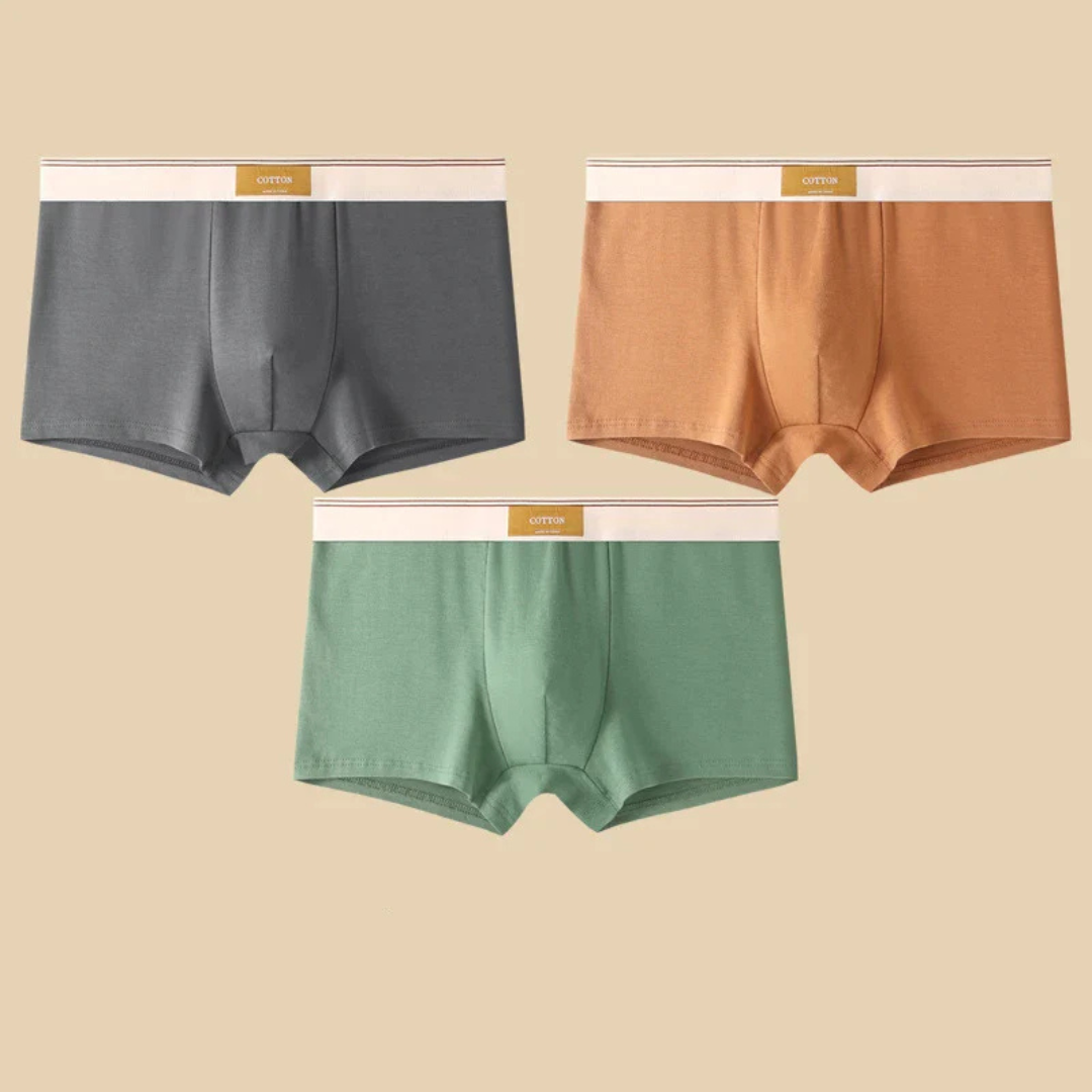 Men's Boxer Briefs Set with Elastic Waistband and Contrast Trim