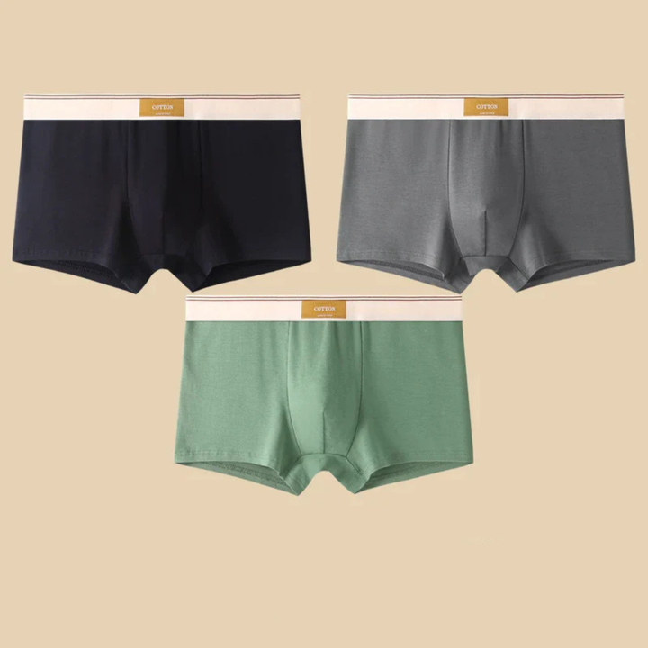 Men's Boxer Briefs Set with Elastic Waistband and Contrast Trim