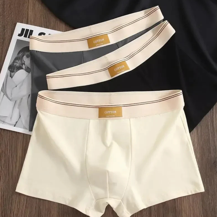 Men's Boxer Briefs Set with Elastic Waistband and Contrast Trim